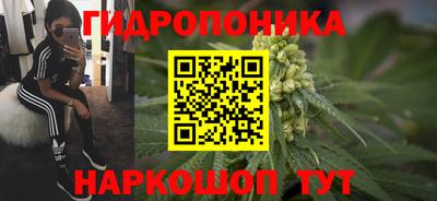 spice Тула