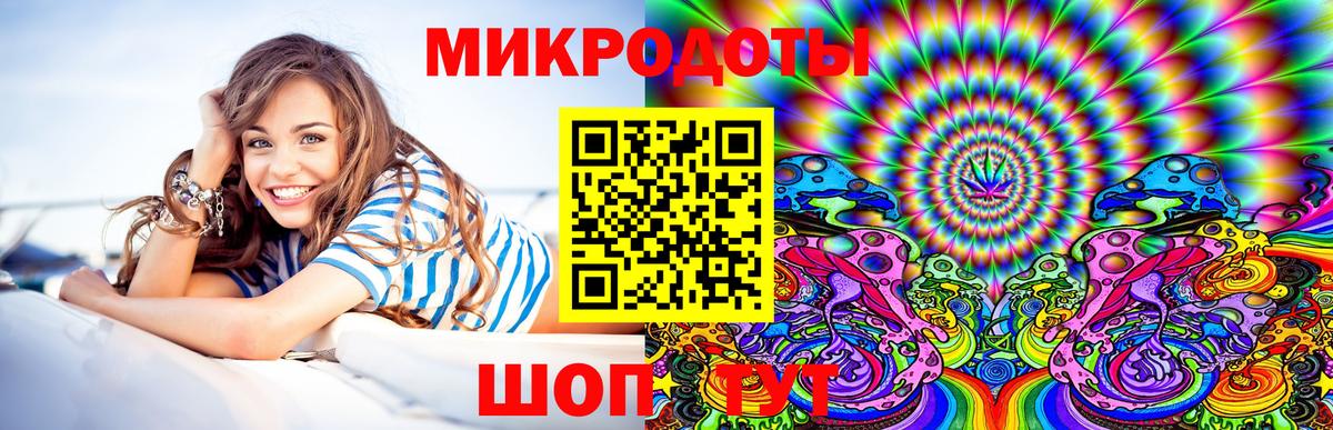 Великий Устюг  Псилоцибиновые грибы MAGIC MUSHROOMS  Вход с VPN 