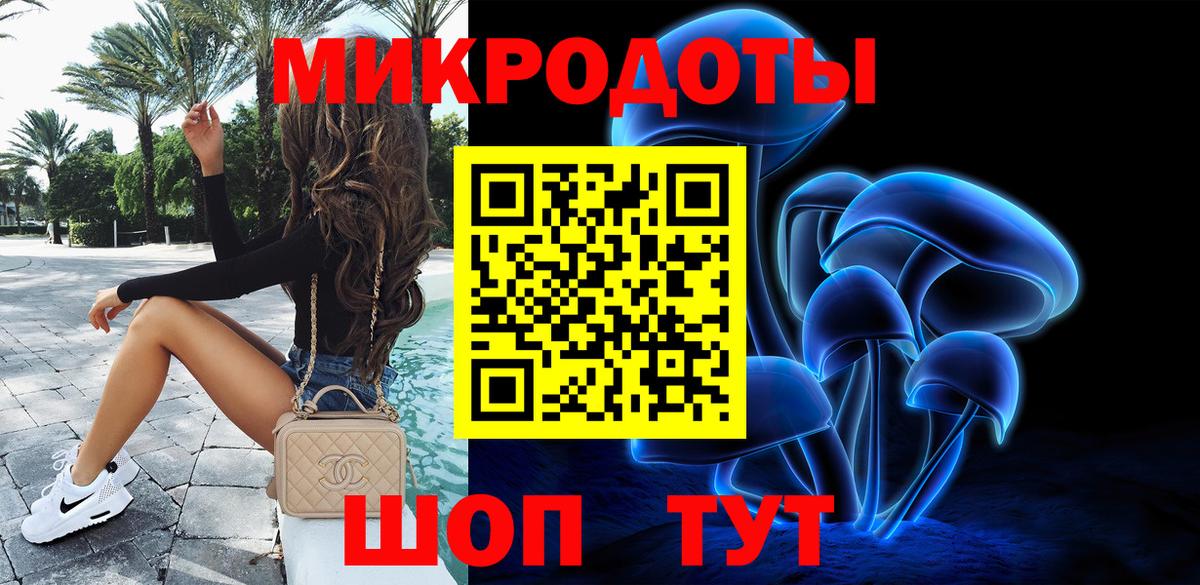 Галлюциногенные грибы Psilocybe Великий Устюг